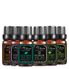 6 pc Essential Oils Set
