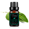 6 pc Essential Oils Set